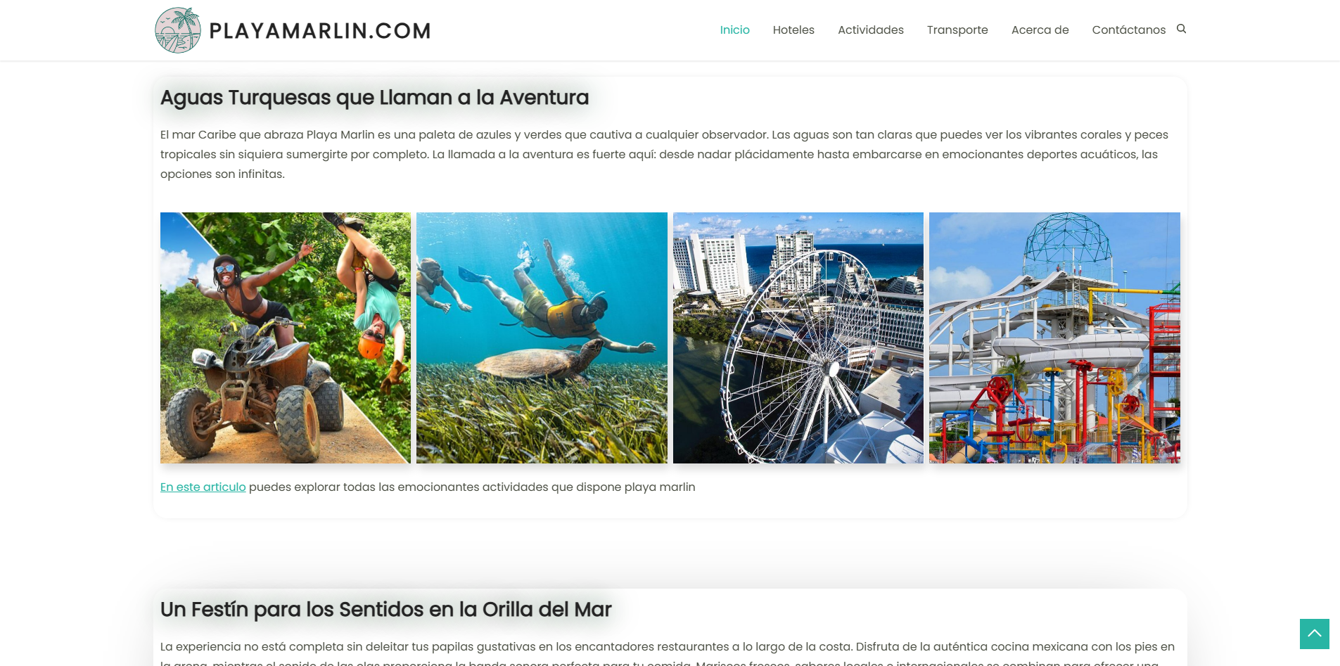 Playa Marlin - Image 1